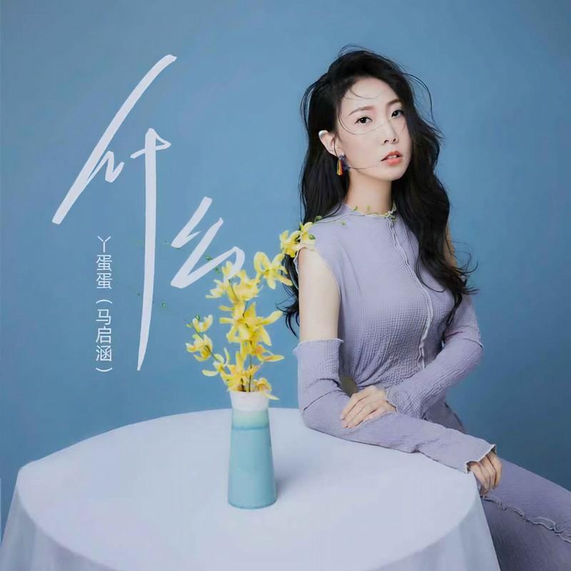 什么 (伴奏)封面
