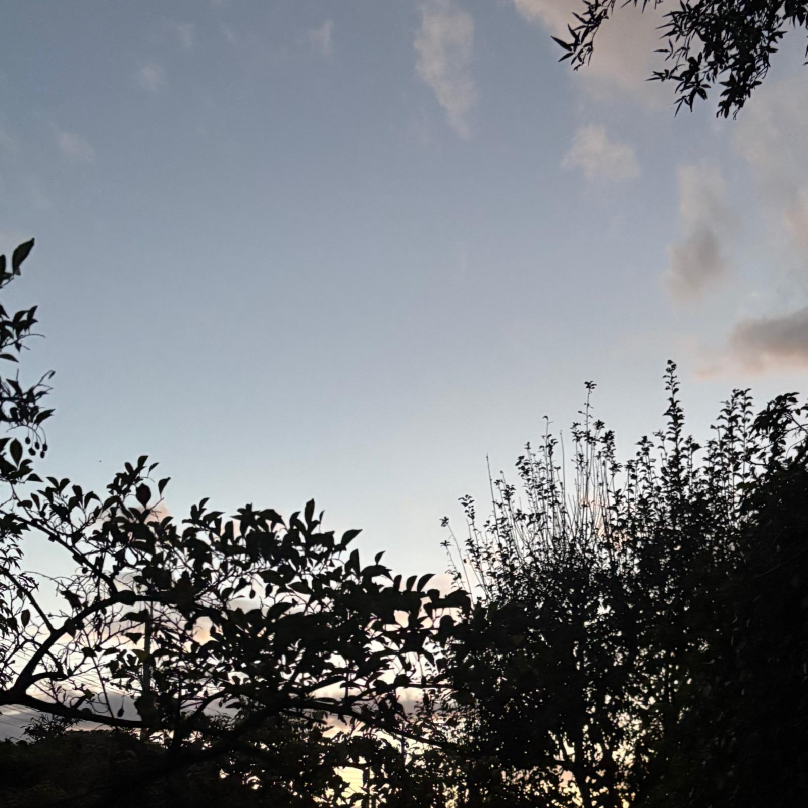 Ship (feat. IA, 初音ミク, 歌愛ユキ & ZOLA YUU)