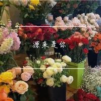 源来是你