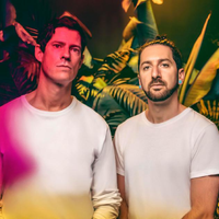 Big Gigantic