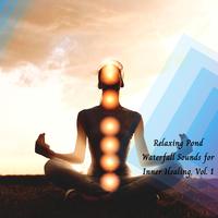 Relaxing Pond Waterfall Sounds For Inner Healing, Vol. 1