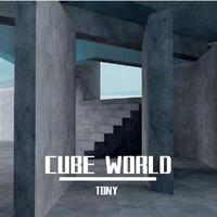 CUBE WORLD