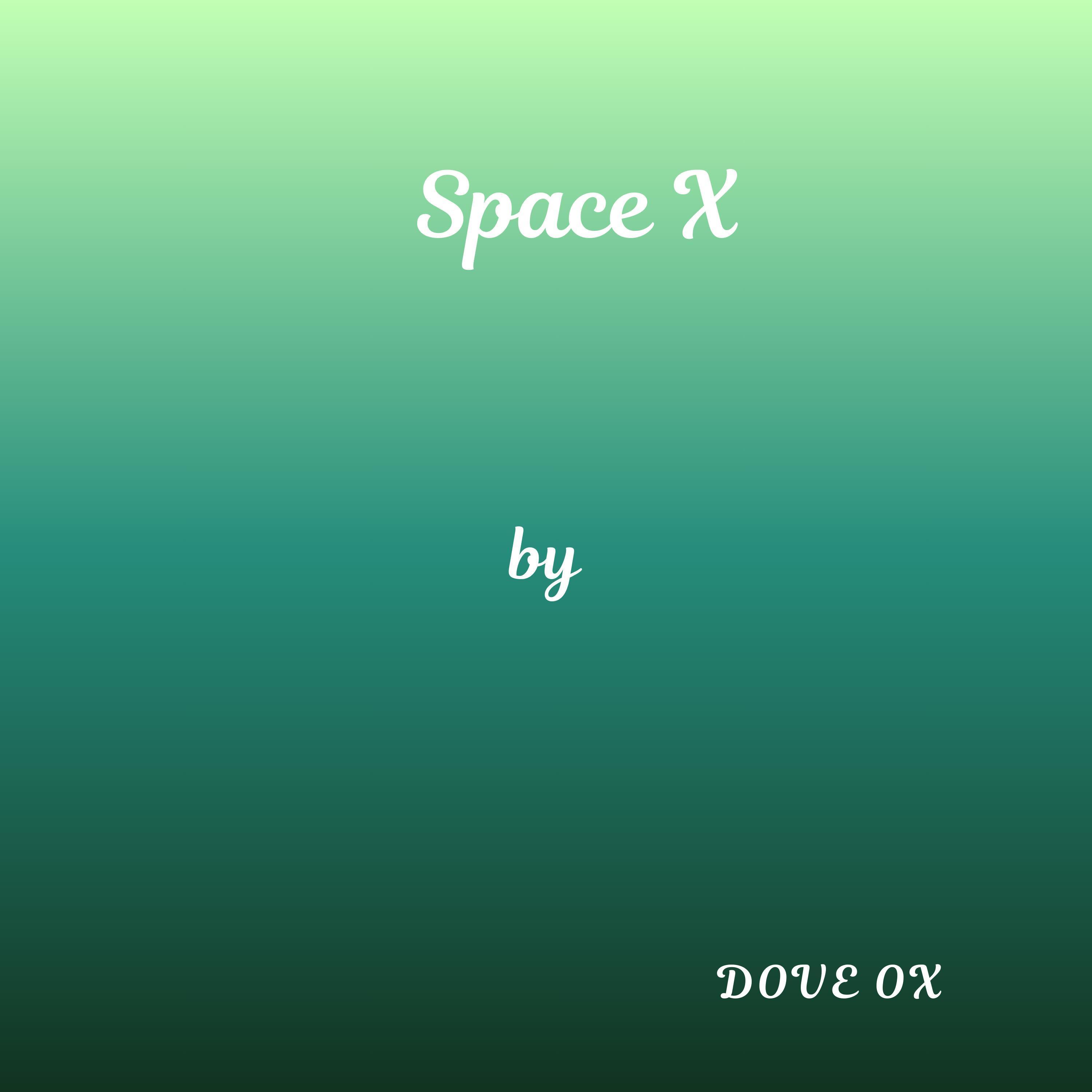 Space X