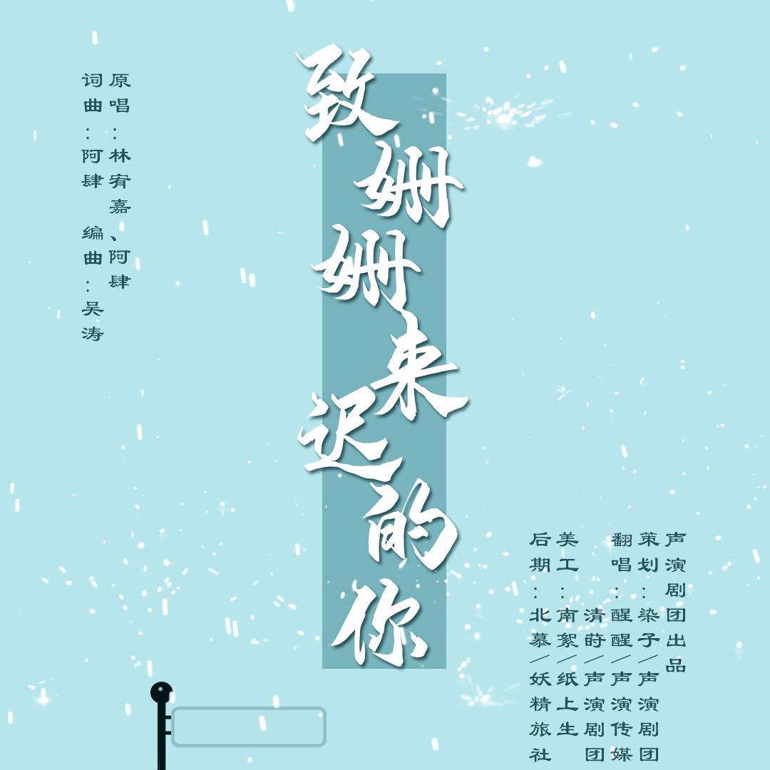 致姗姗来迟的你封面