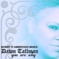 You Are Why (Bobby D'Ambrosio Mixes)