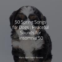 50 Spring Songs for Dogs : Peaceful Sounds for Insomnia 50