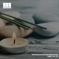 Mind Relaxation with Meditation Tunes, Vol. 03