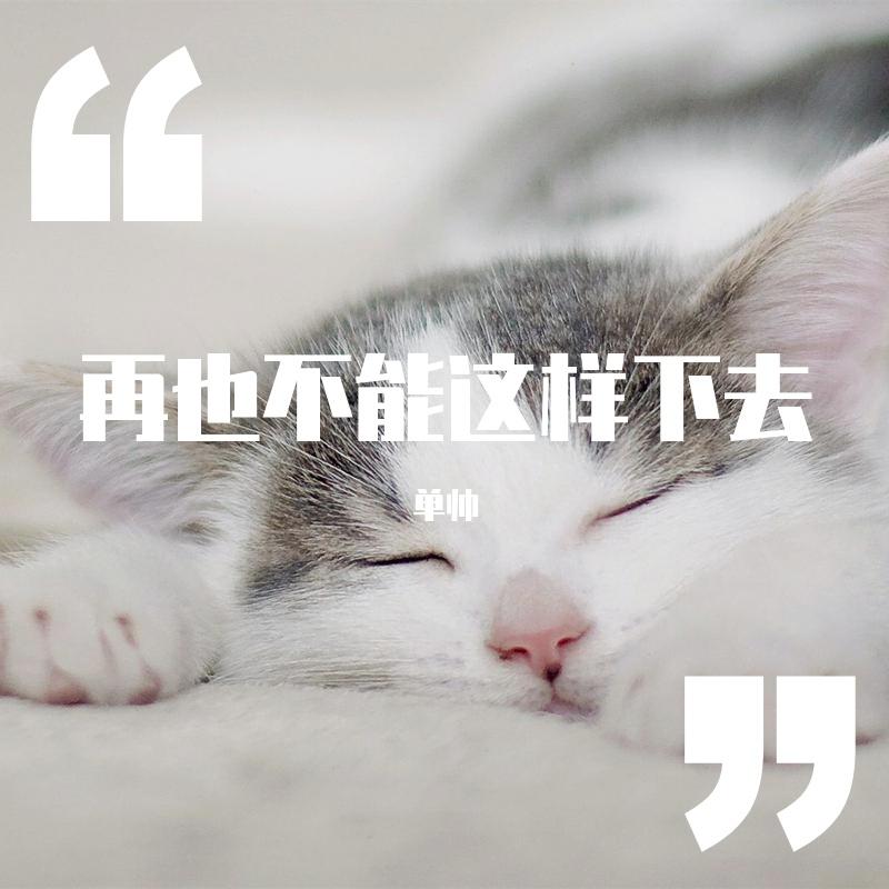 再也不能这样下去 伴奏封面