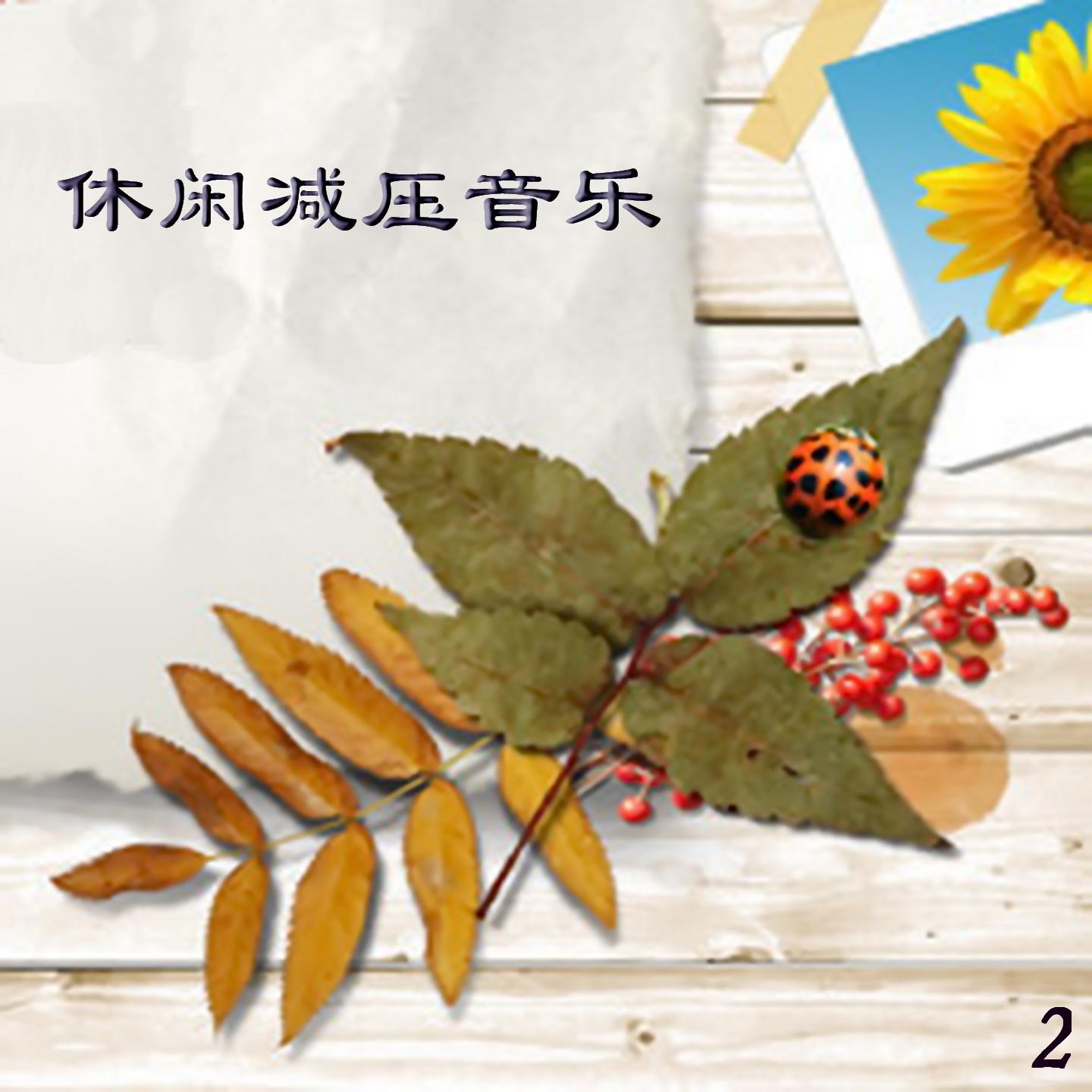 发如雪封面