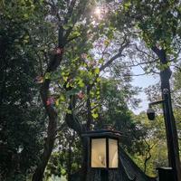 DJ风景线