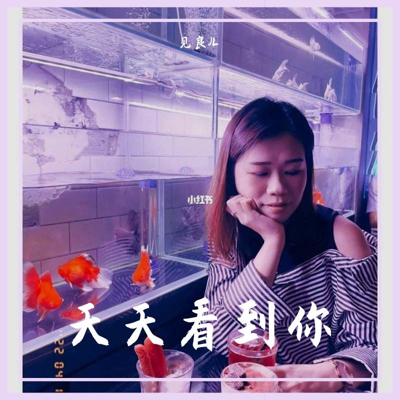 天天看到你封面