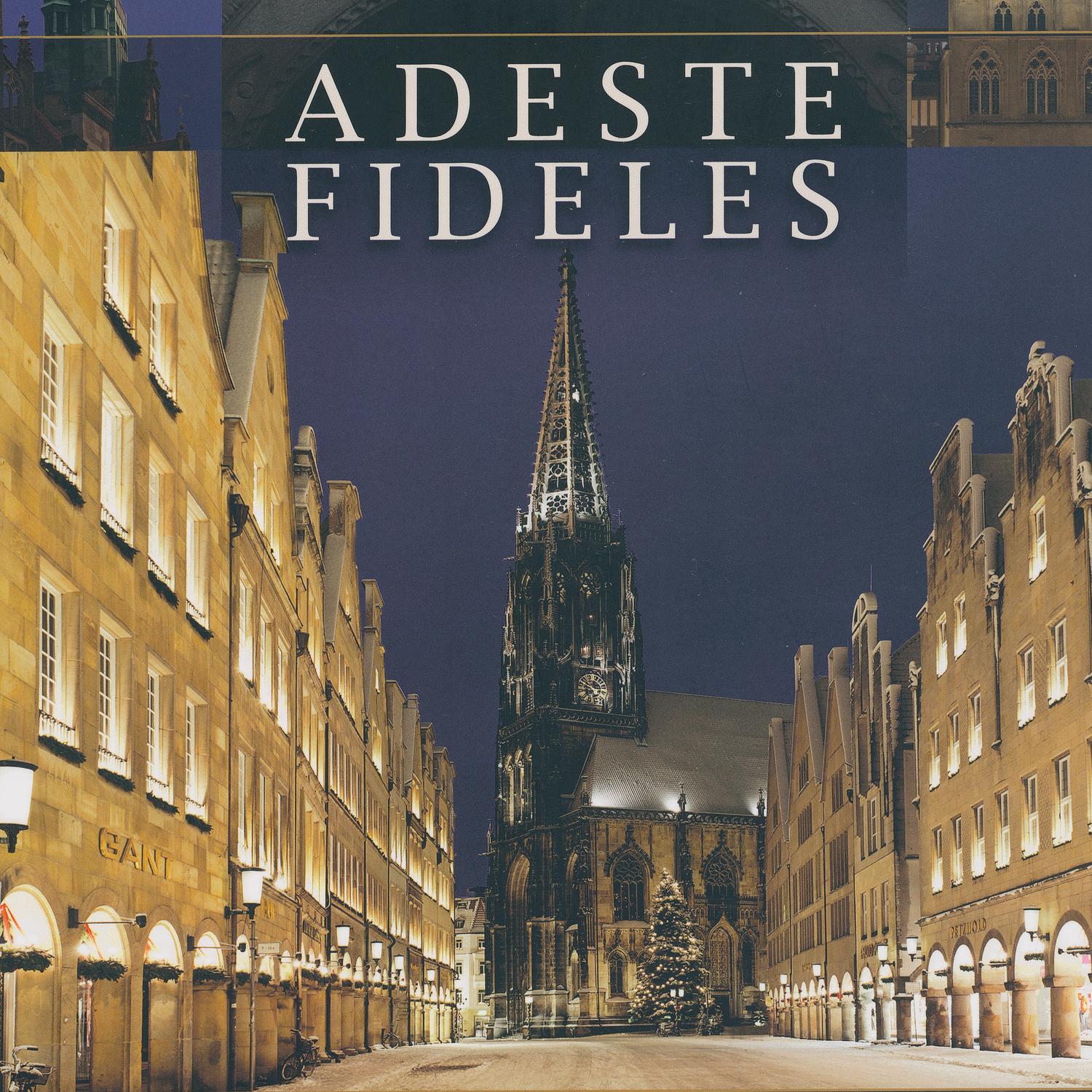 Sinfonia „Maria durch ein Dornwald ging“: II. Orgelimprovisation