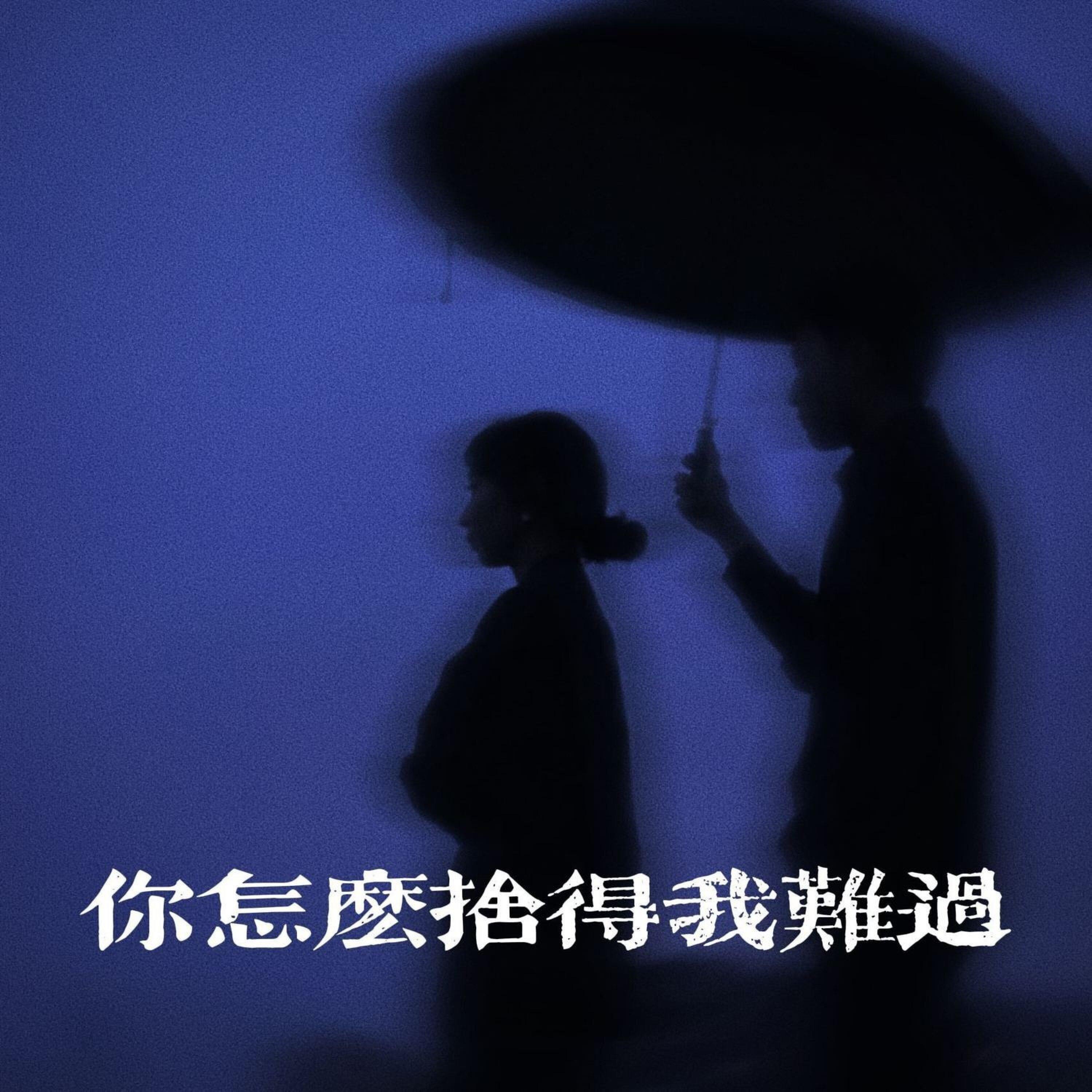 你怎么舍得我难过（R&B版）封面