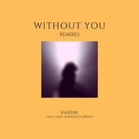 Without You (feat. Chase. & Veronica Bravo) [Remixes]