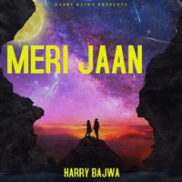 MERI JAAN