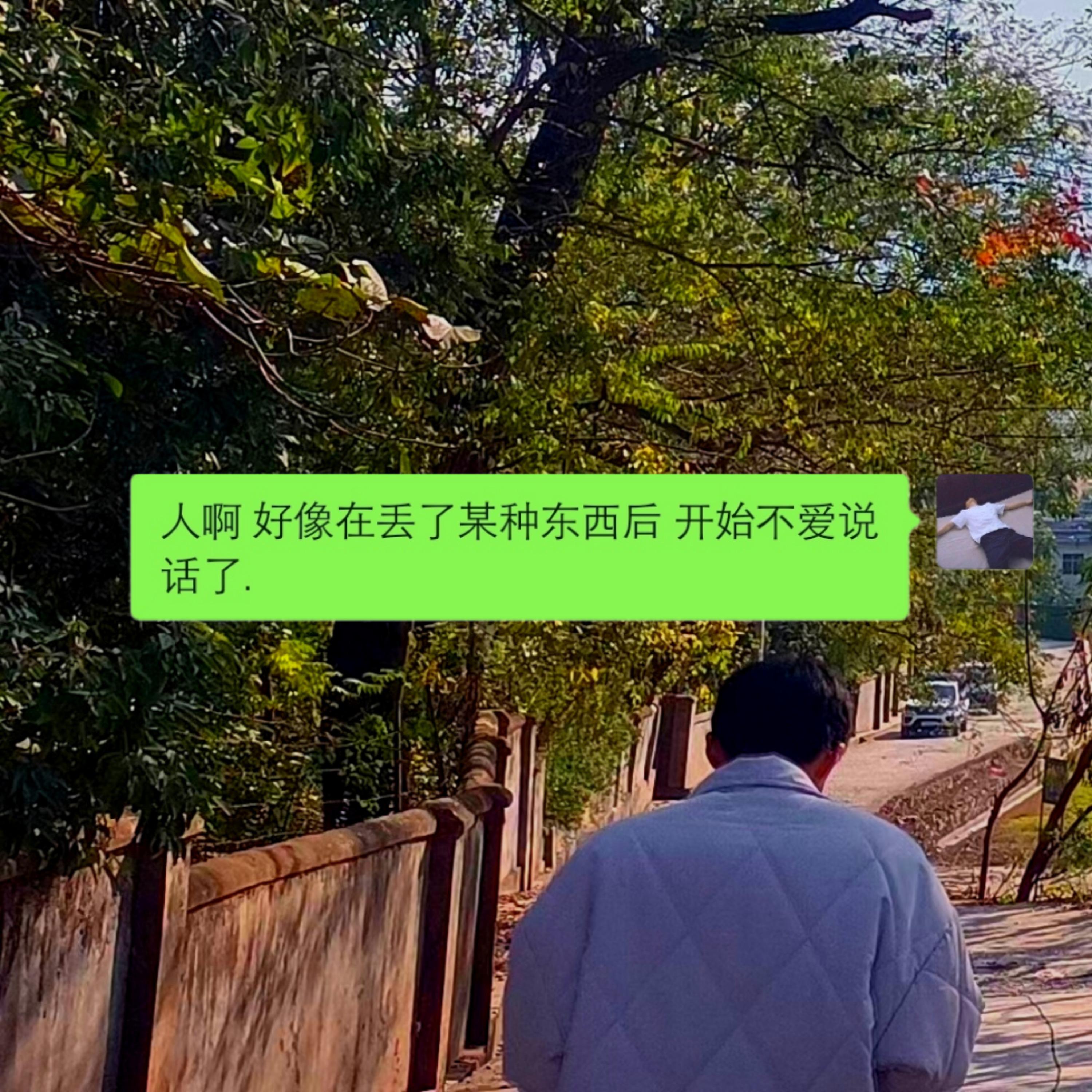 哪有笨蛋回回恋爱回回输呀 (Remix)