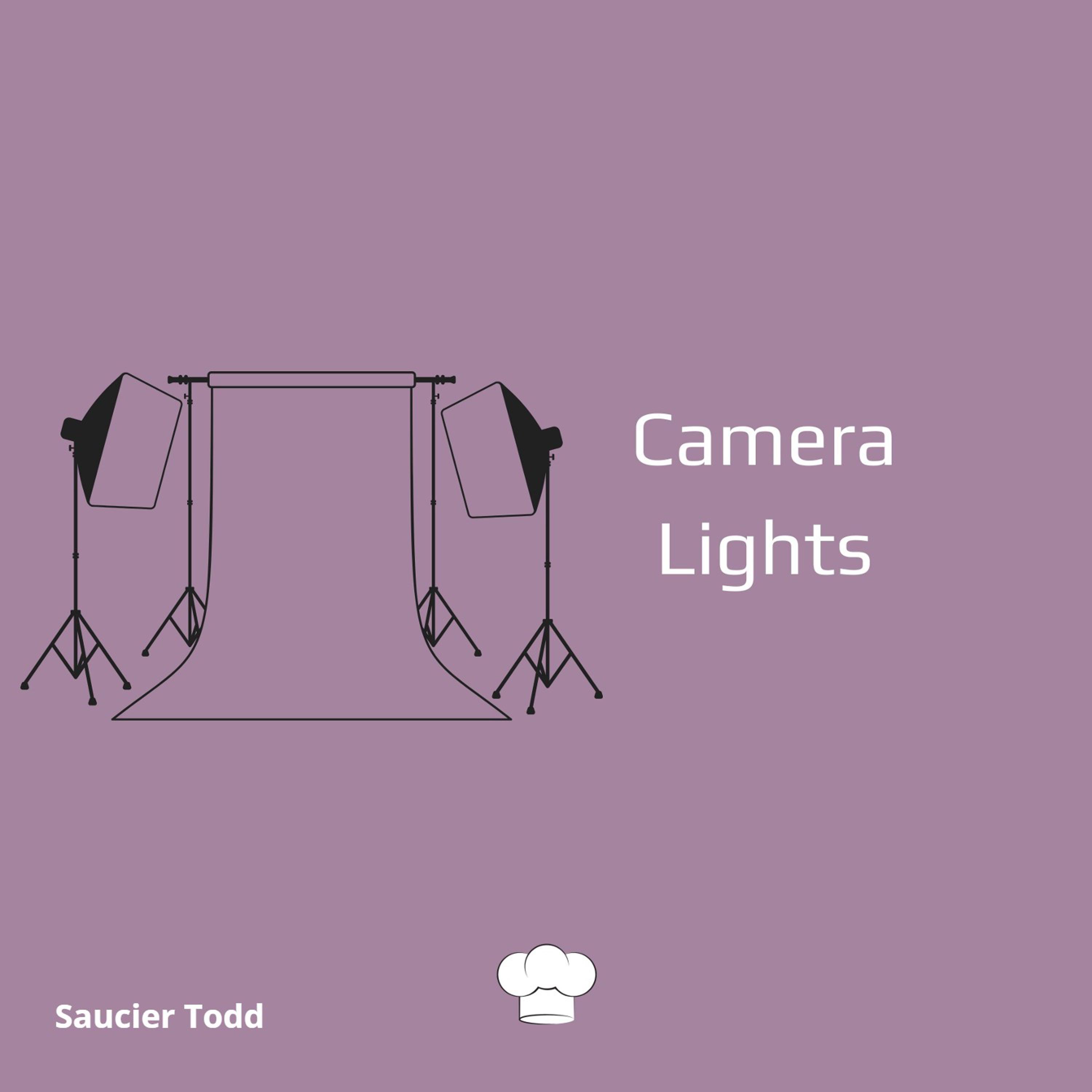 Camera Lights