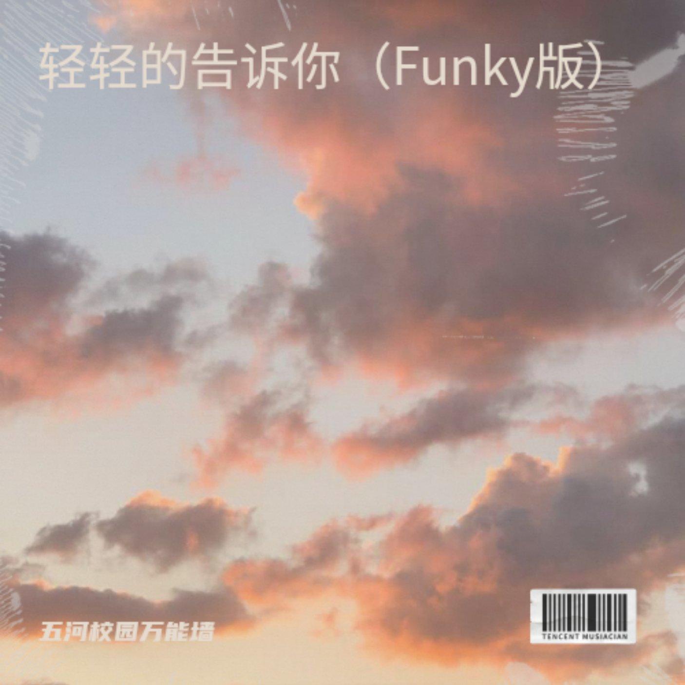 轻轻的告诉你（Funky版）封面