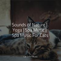 Sounds of Nature | Yoga | Spa Music | Spa Music For Cats