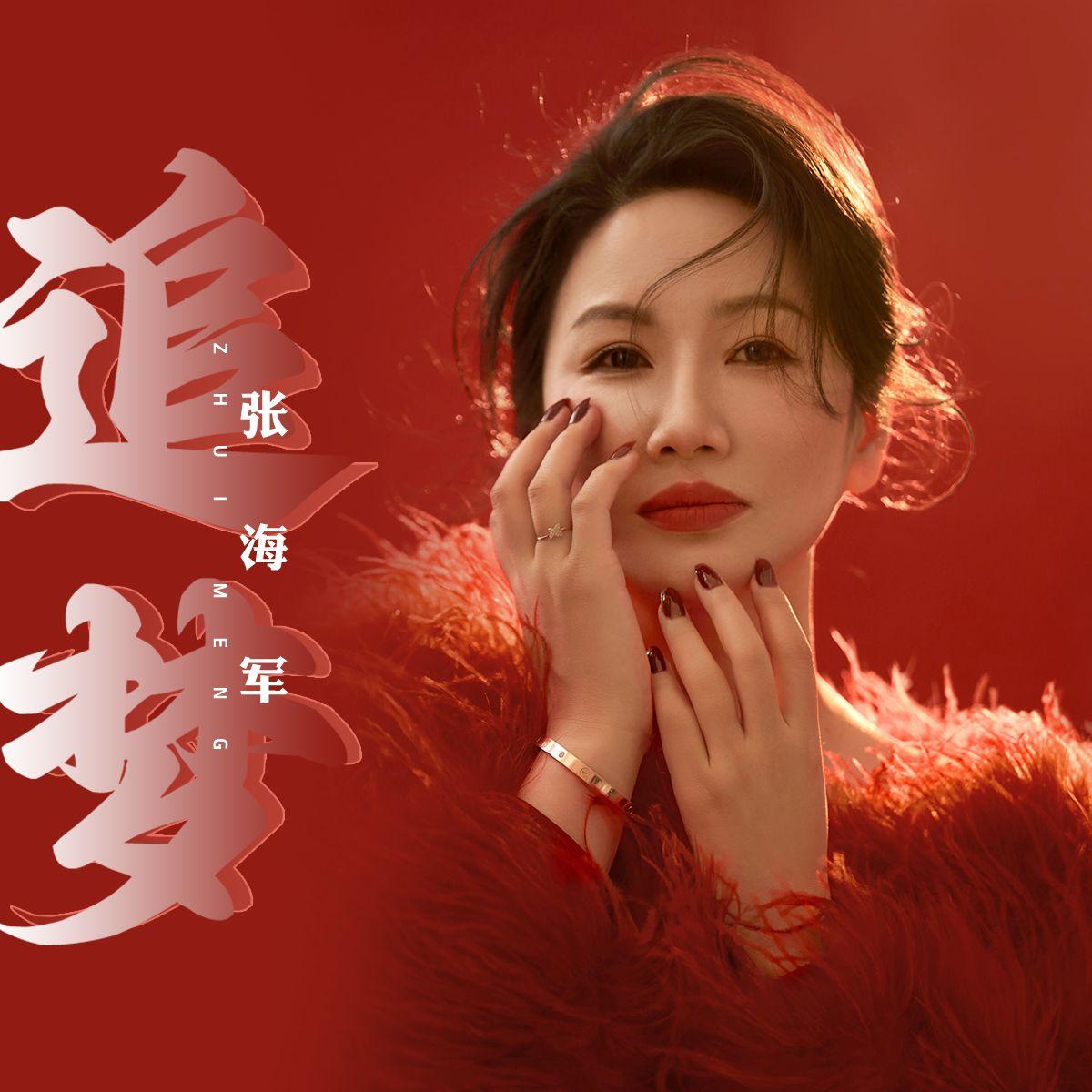 追梦（伴奏）封面