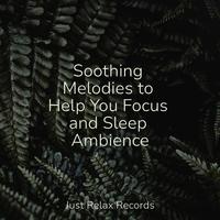 Soothing Melodies to Help You Focus and Sleep Ambience