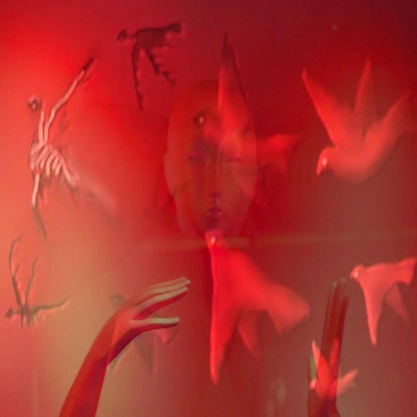 Consider the Grackles