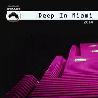 Deep in Miami 2014