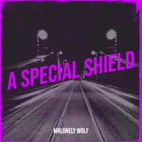 A Special Shield