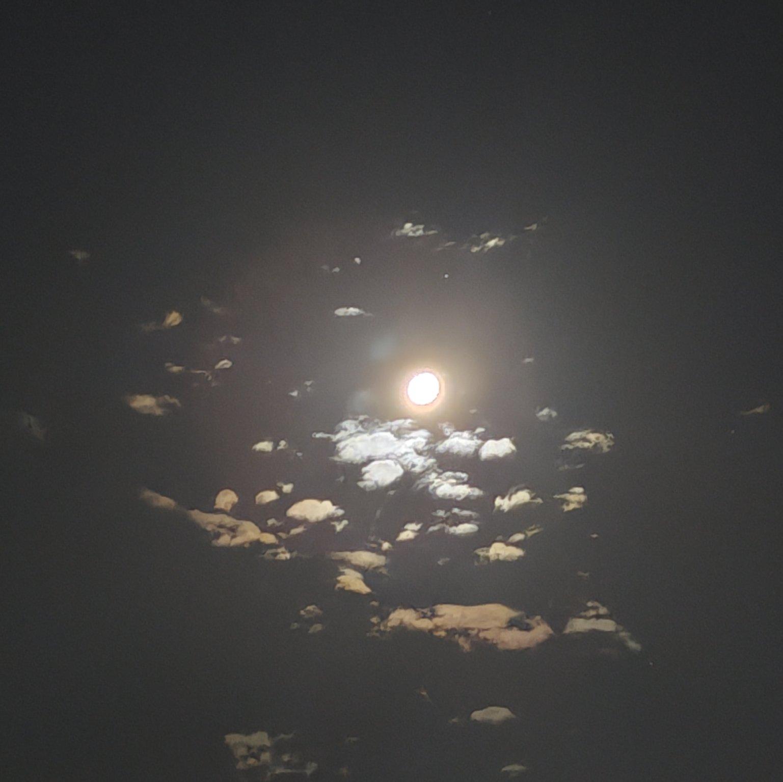 龙吟封面