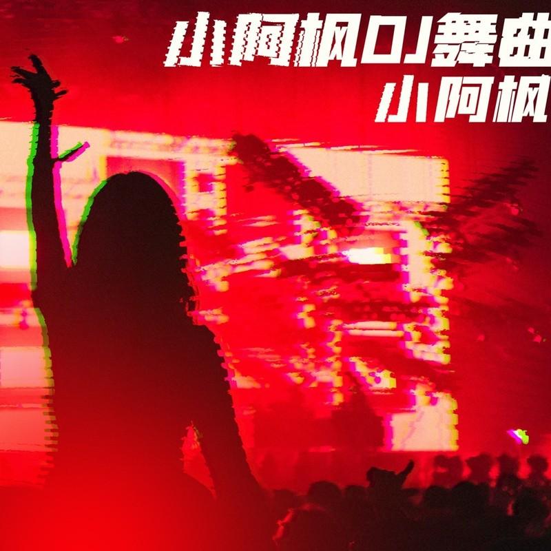 我要找到你(DJ版)封面