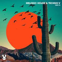 Melodic House & Techno V