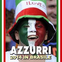 Azzurri 2014 in Brasile