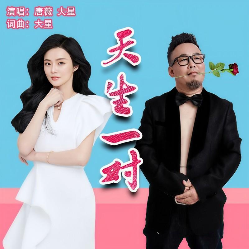 天生一对 (DJ版伴奏)封面