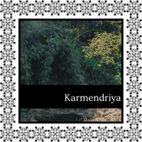 Karmendriya