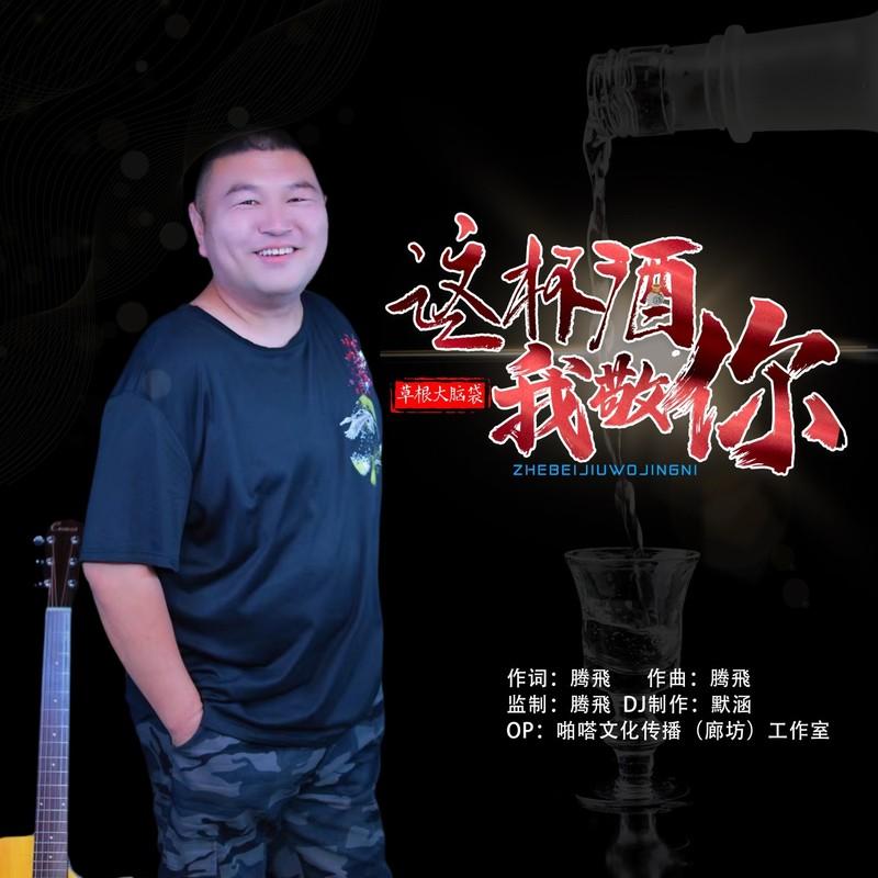 这杯酒我敬你 (DJ默涵版)封面