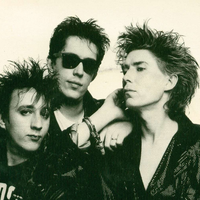 The Psychedelic Furs