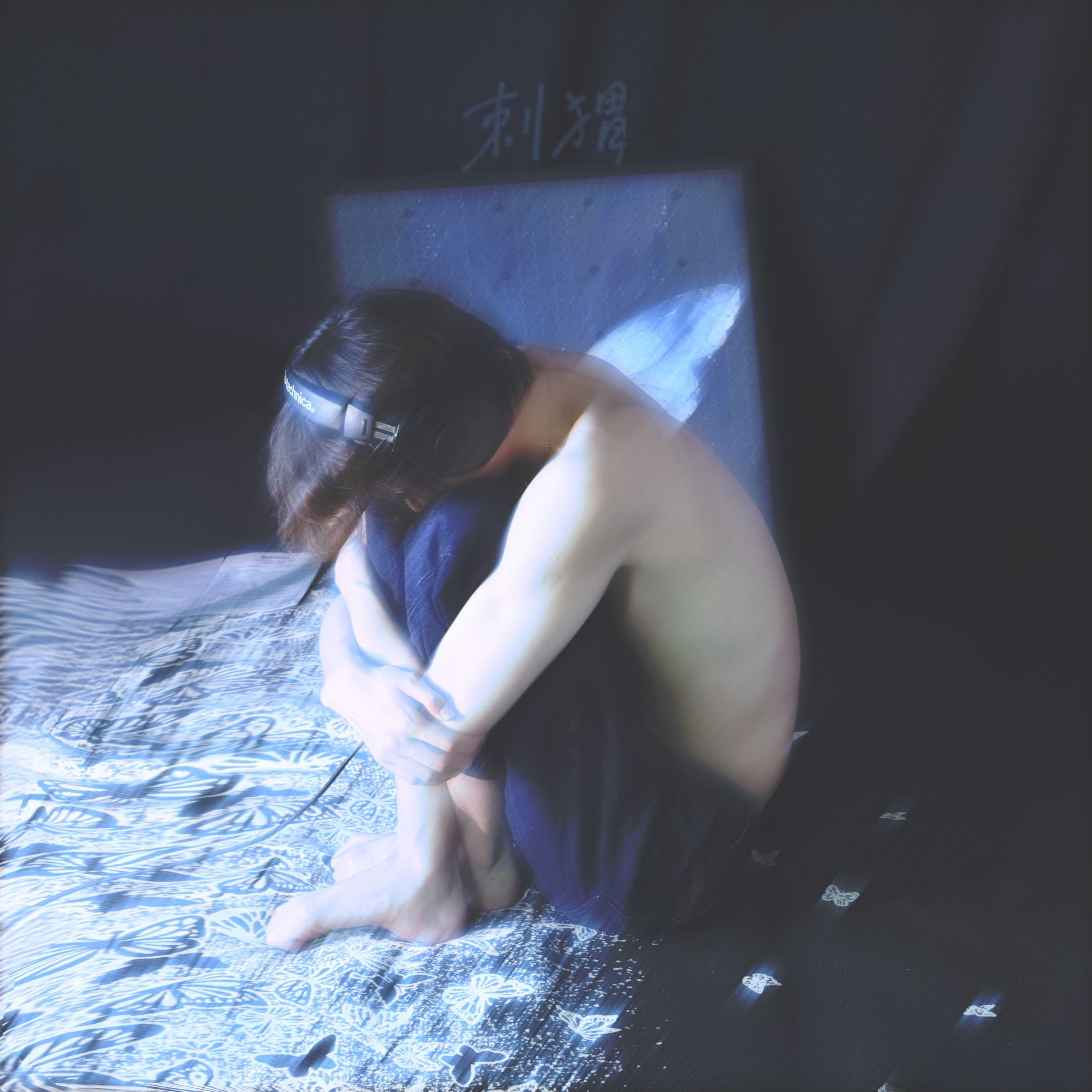 刺猬（Hedgehog）封面