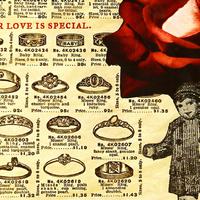 Our Love Is Special
