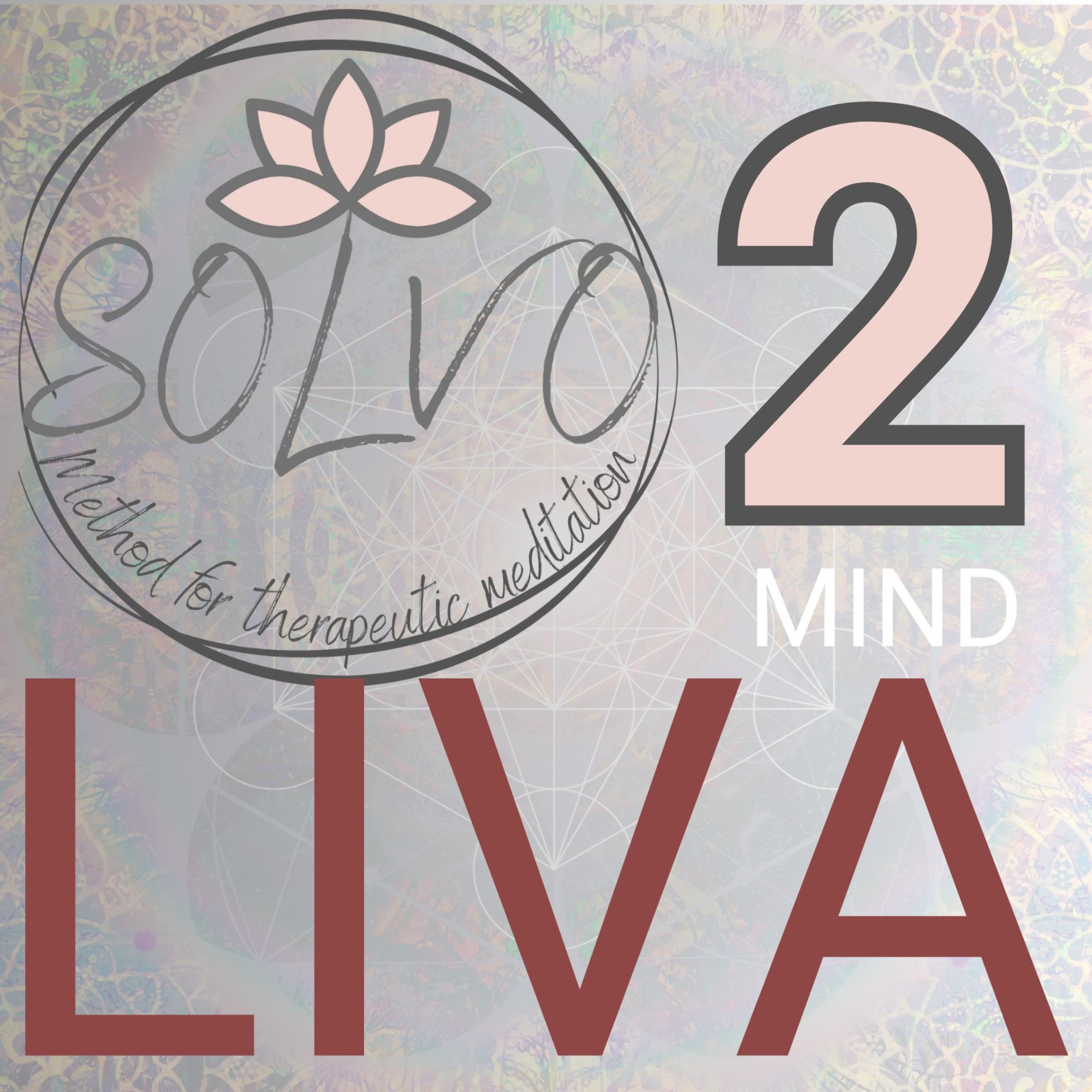 SOLVO The Nervous System