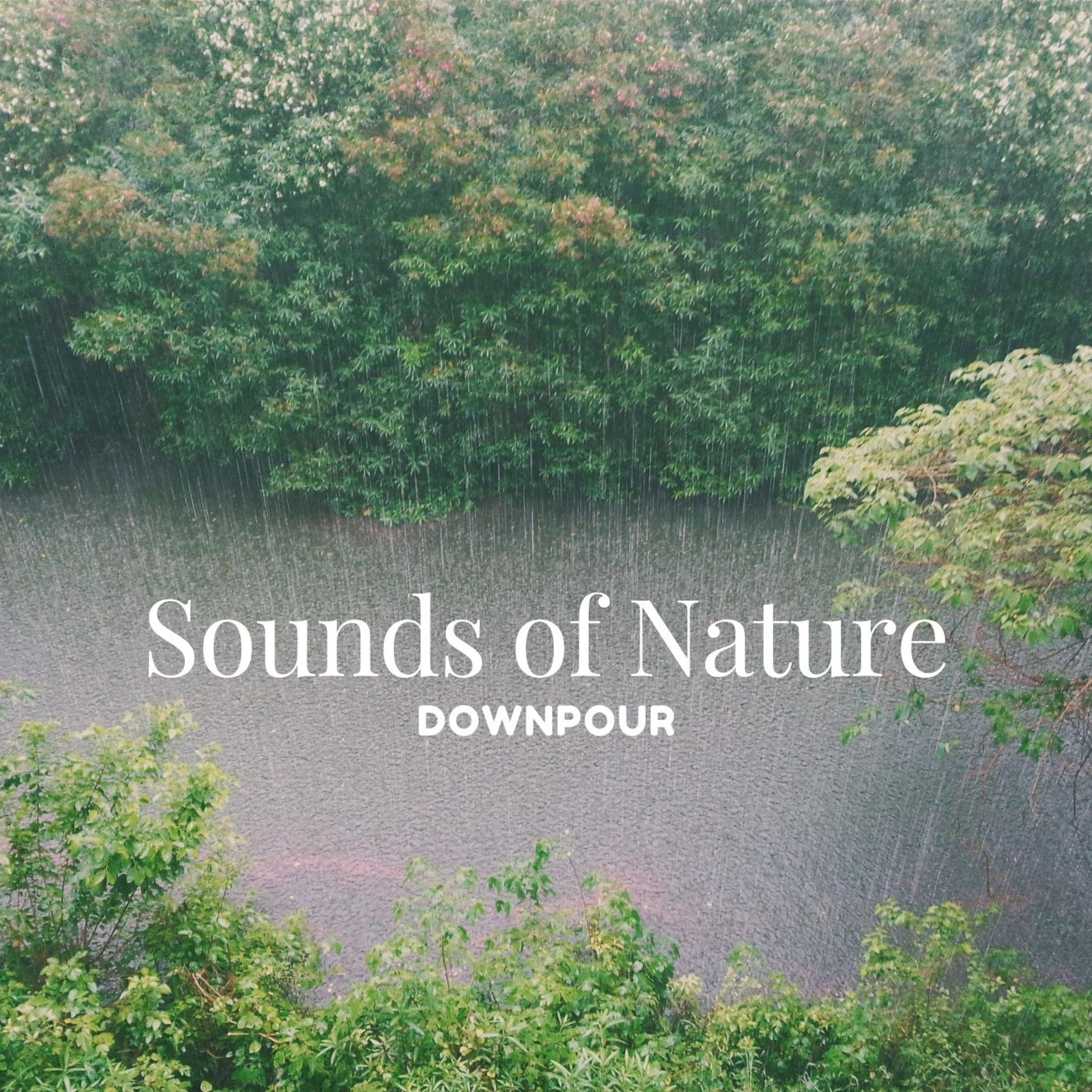 River Flow_Forest FX_Sounds of Nature: Downpour | 在线播放_River Flow歌词_River Flow下载 | 网易云音乐