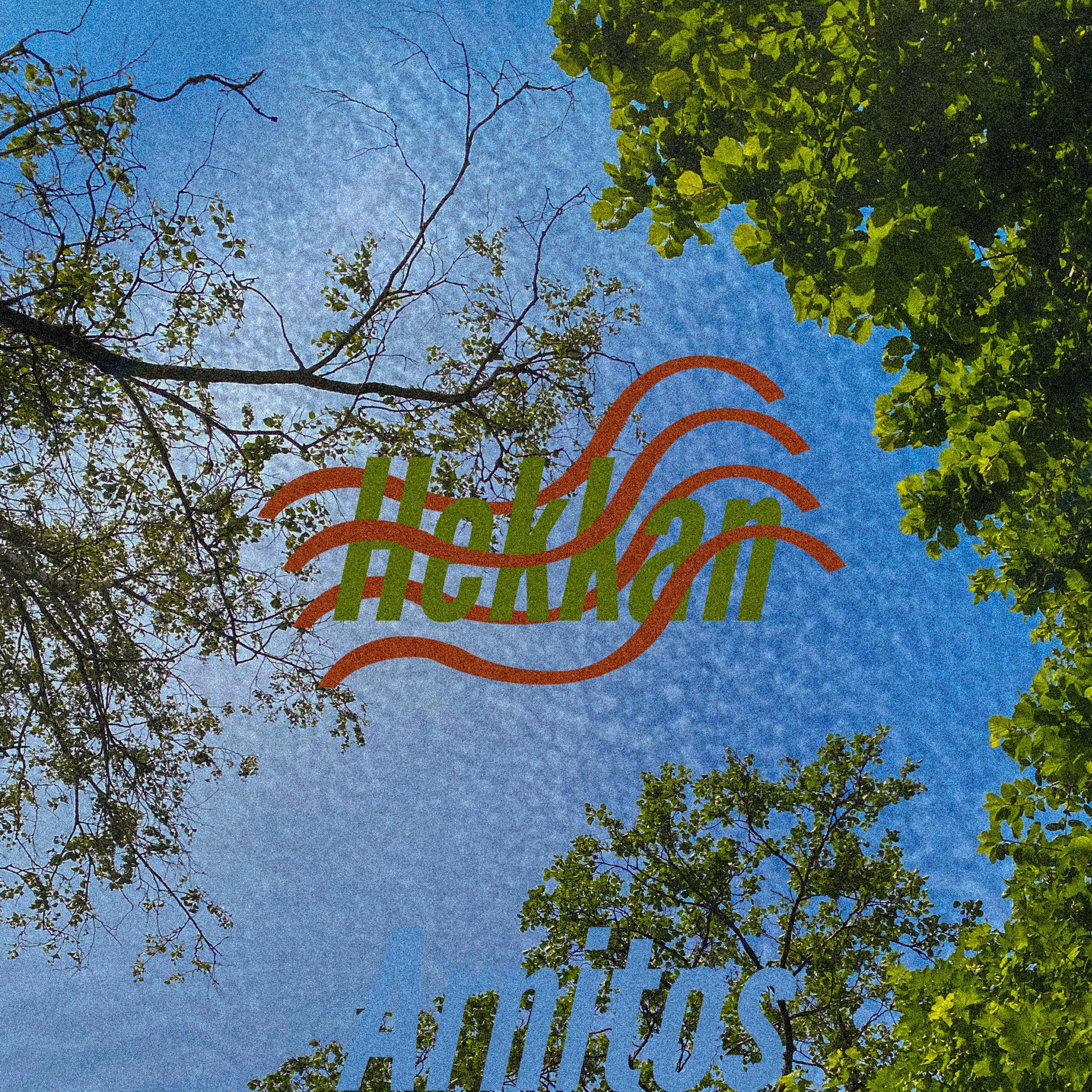 Hekkan (feat. Andypandy, Jk the chad, Mikamela & Charlotte/Charl)