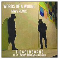 Words of a Wound (Mws Remix) [feat. Lowkey & Nathan Adams]