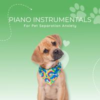 Piano Instrumentals for Pet Separation anxiety