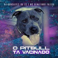 O Pit Bull Ta Vacinado