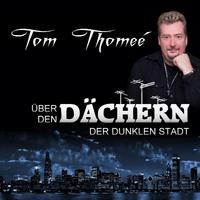 Über den Dächern der dunklen Stadt