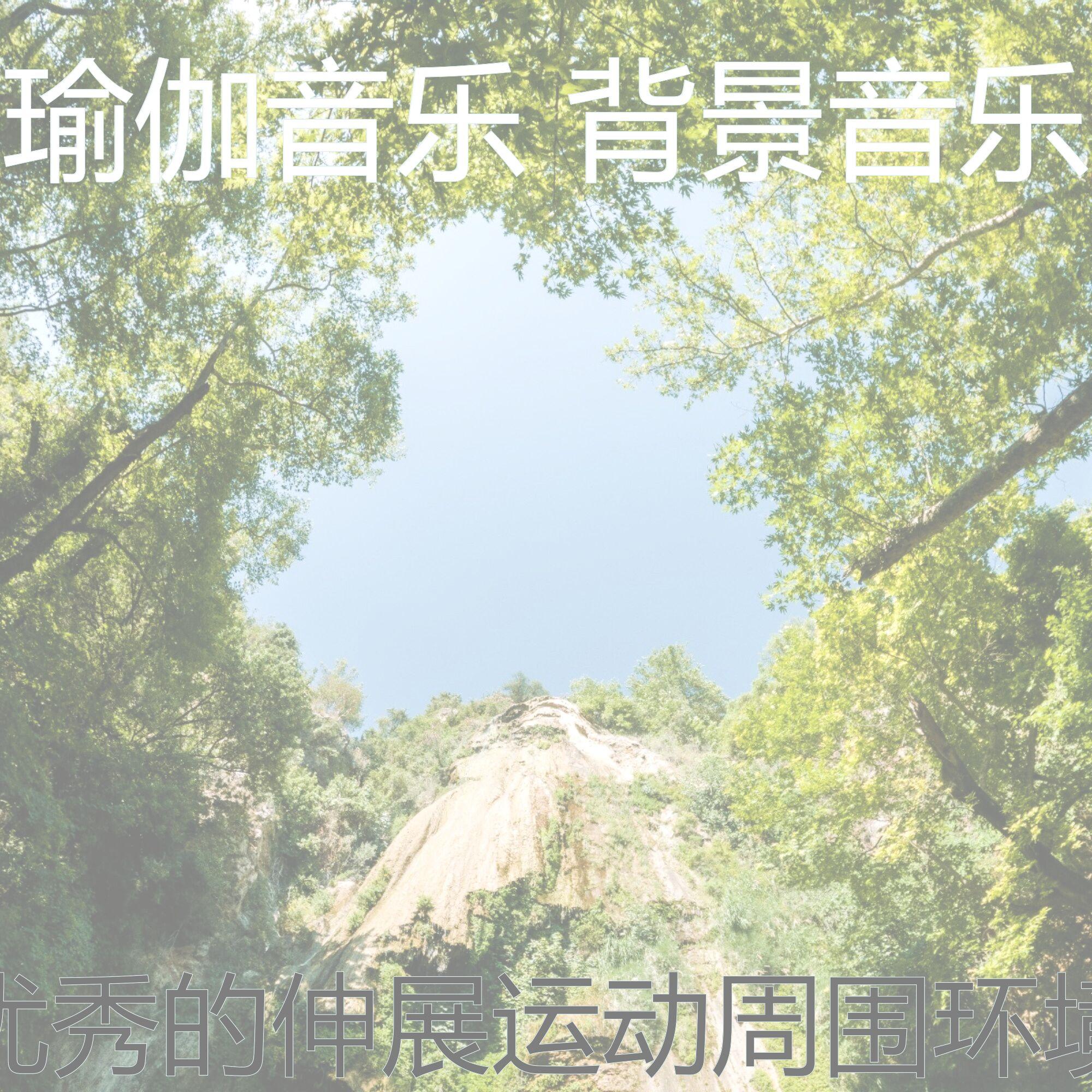抚慰的养生回忆封面
