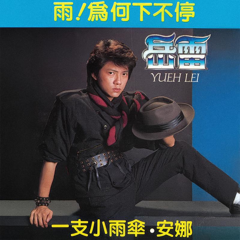 万水千山总是情 (重制版) - 岳雷封面