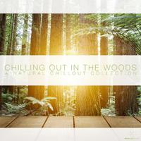 Chilling in the Woods - A Natural Chillout Collection