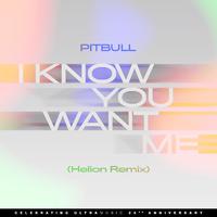 I Know You Want Me (Calle Ocho) (Helion Remix)