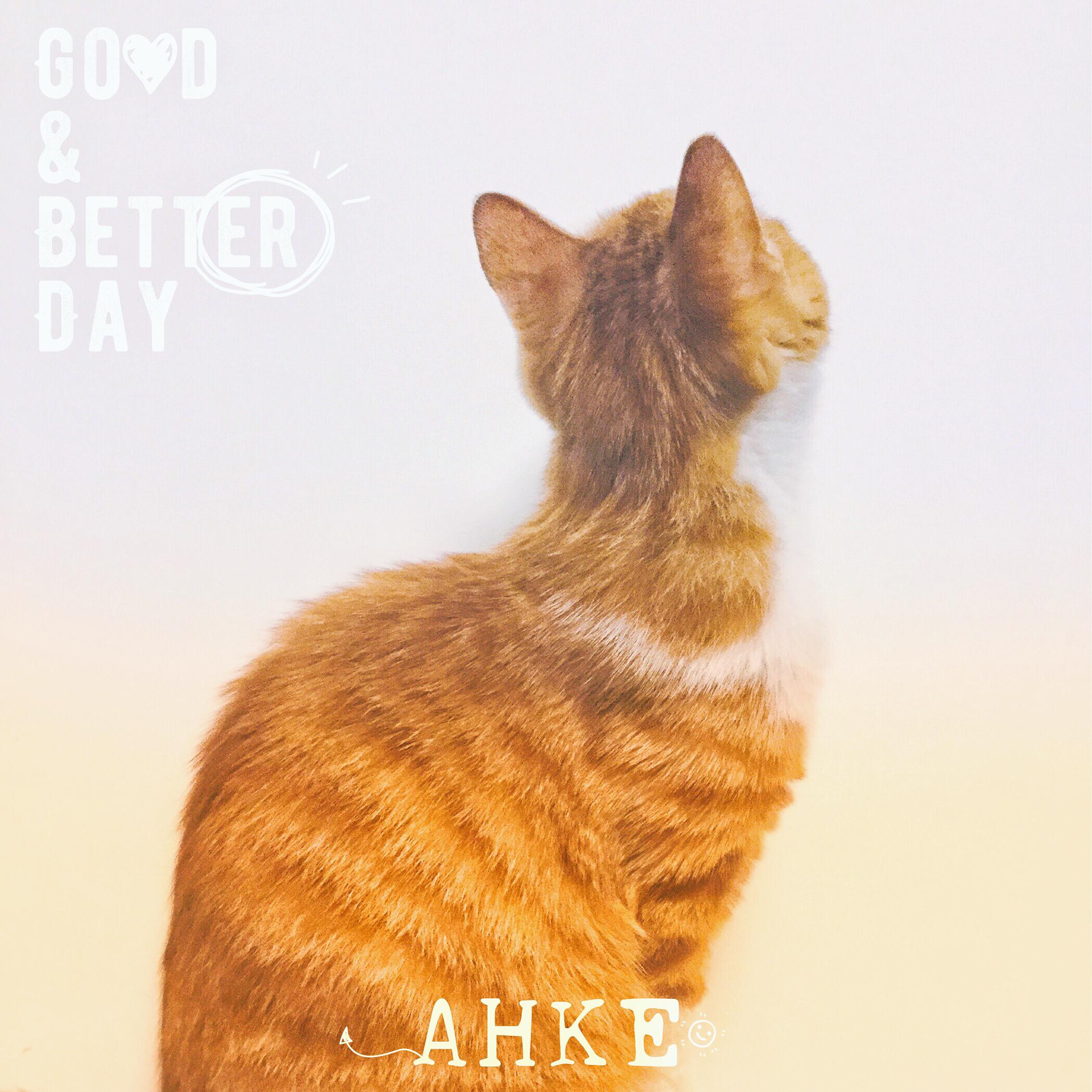 【2017】你曾说（Cover 郁可唯）